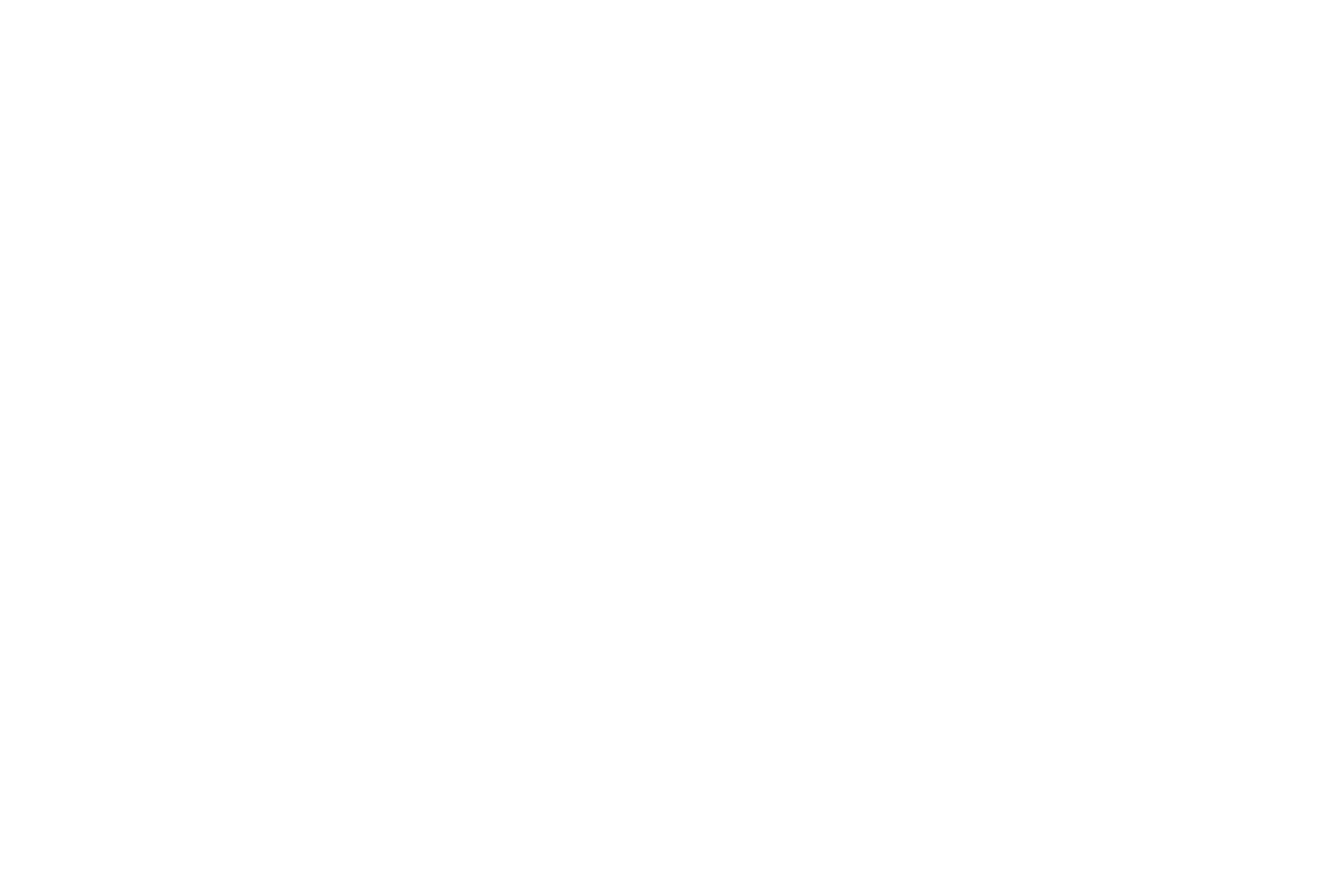 elevenmind20anos.png